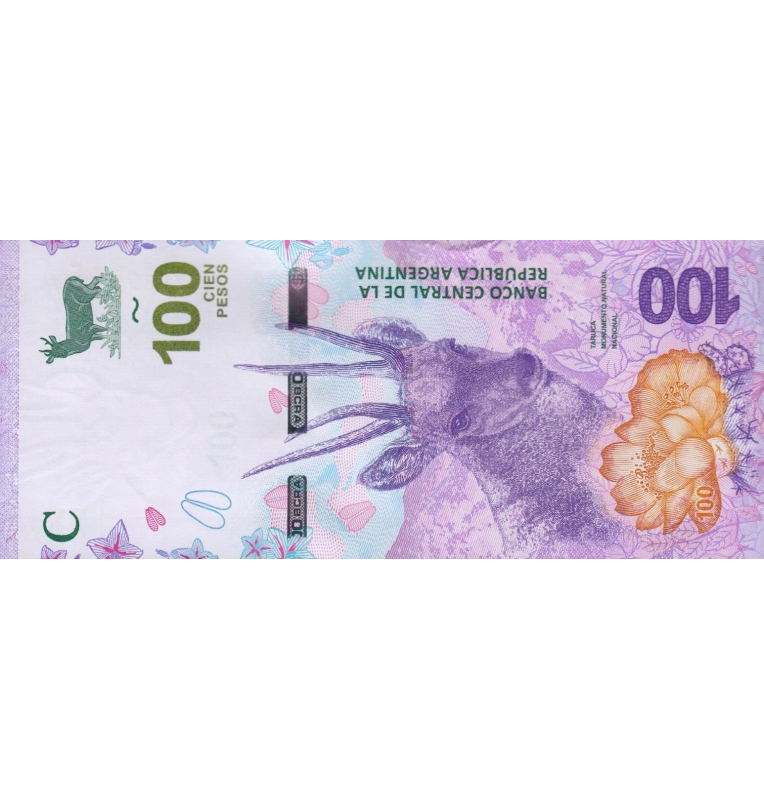 Argentina 100 Pesos 2018 ND Pick 363Aa